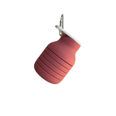 Collapsible Water Bottle